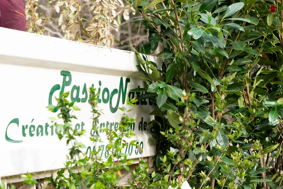 Aménagement paysager résidentiel avec jardin en façade de maison moderne