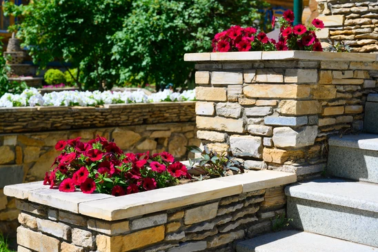 Scène extérieure de jardinage avec bêche plantée dans sol travaillé, entourée de jeunes plants et fleurs bleues